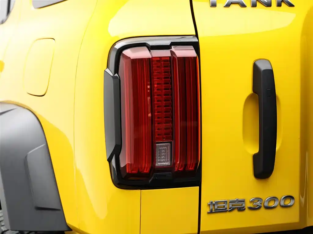 Tank 300 2022 2.0T Border Limited Edition фото 15