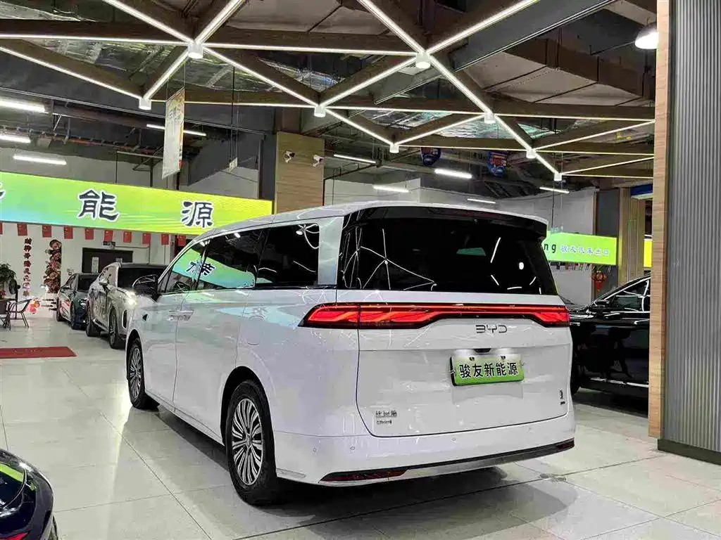 Фото 12 - BYD Xia