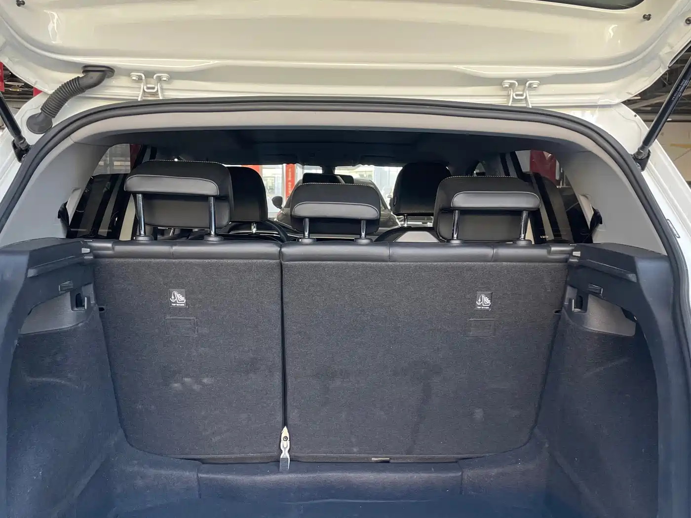 Volkswagen Tanying, миниатюра 15