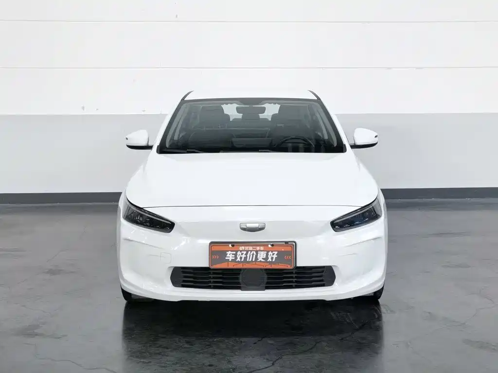 Geely Geometry A 2023 2022 Model Pro 430KM Travel Edition