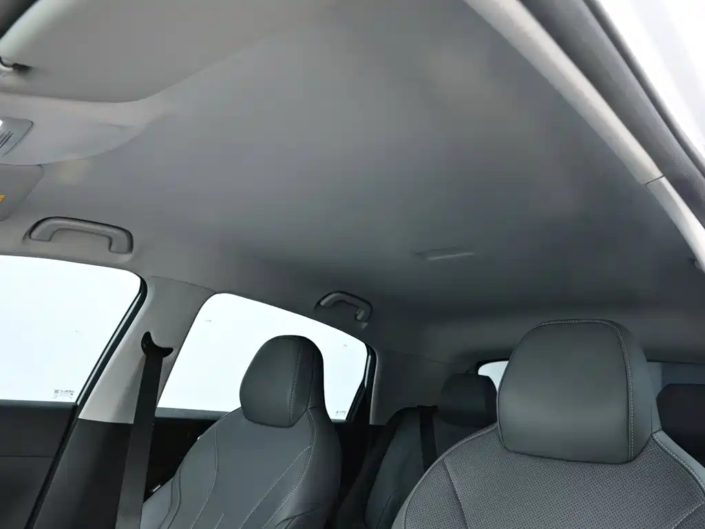 Geely Galaxy Starry Wish 2026 2026 Edition 310km Youth Version