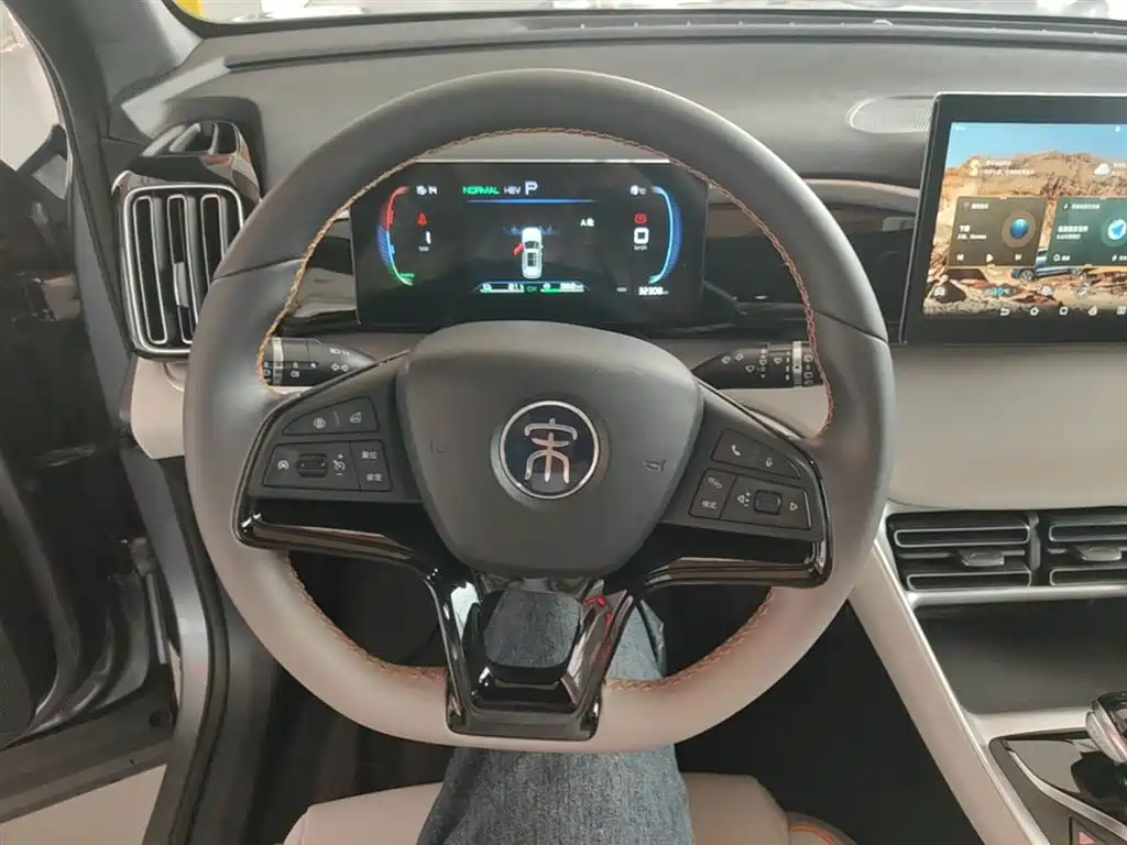 BYD Song Pro New Energy 2024 Glory Edition DM-i 71KM Leading фото 11
