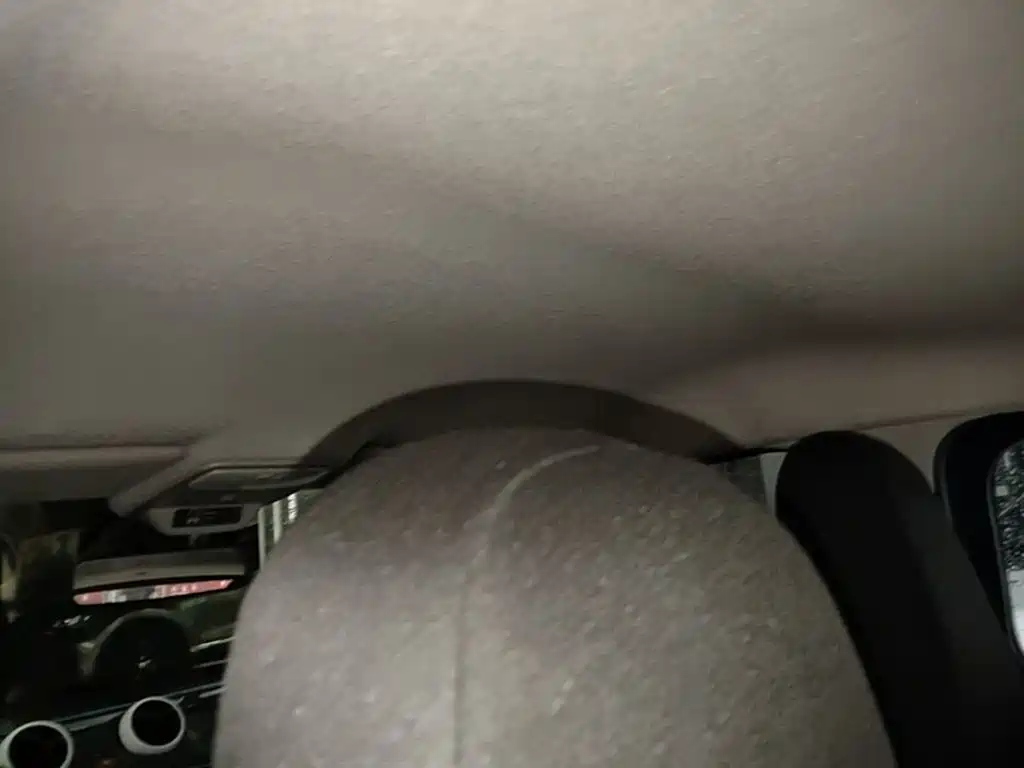 smart forfour 2018 2018 1.0L 52kW Agile Edition