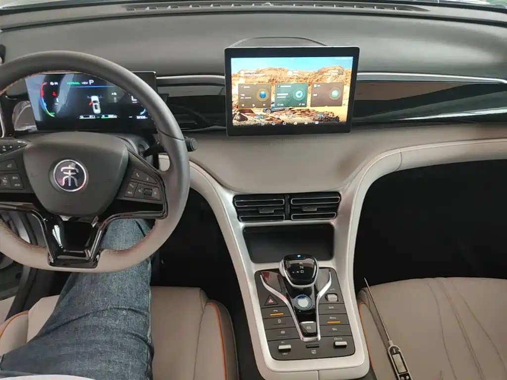 BYD Song Pro New Energy 2024 Glory Edition DM-i 71KM Leading фото 10