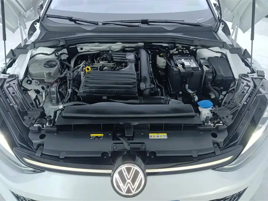 VOLKSWAGEN LINGDU