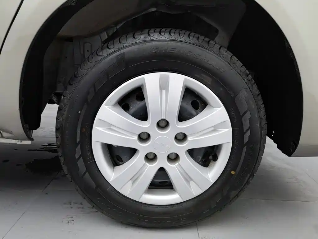 صورة 17 - Dongfeng Fengxing Lingzhi