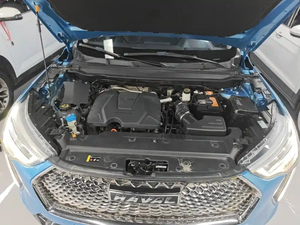 Haval First Love 2021 2021 1.5T Automatic Premium Edition