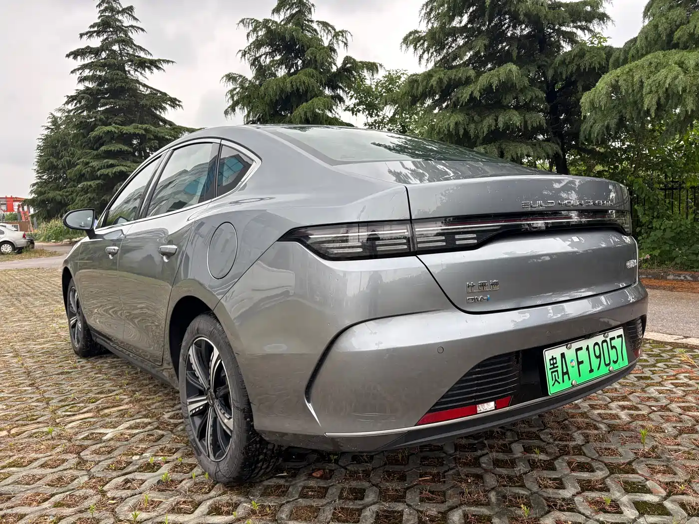 BYD Destroyer 05 2024 Glory Edition DM-i 120KM Luxury фото 4
