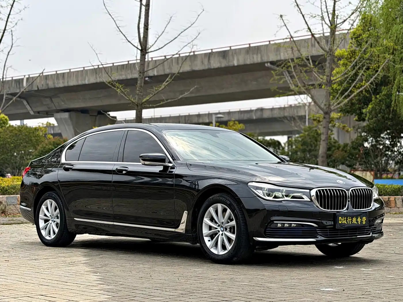 BMW 7 Series 2016 730Li Luxury фото 3