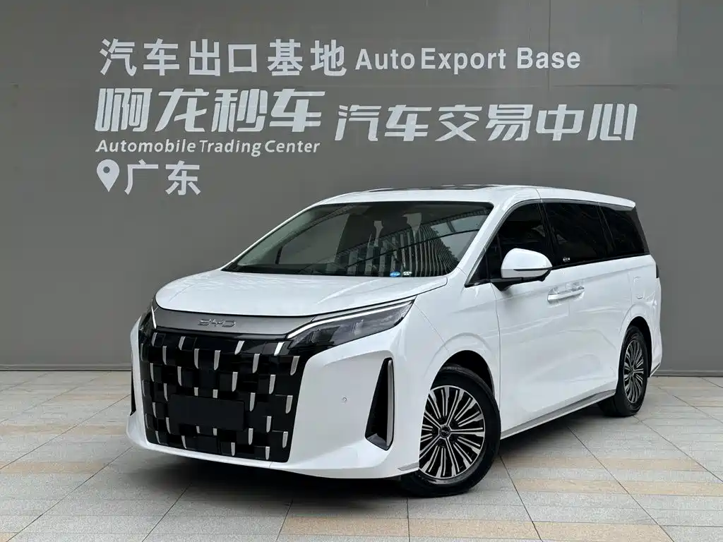 BYD BYD M9 2025 Model 1060 Pilot Edition