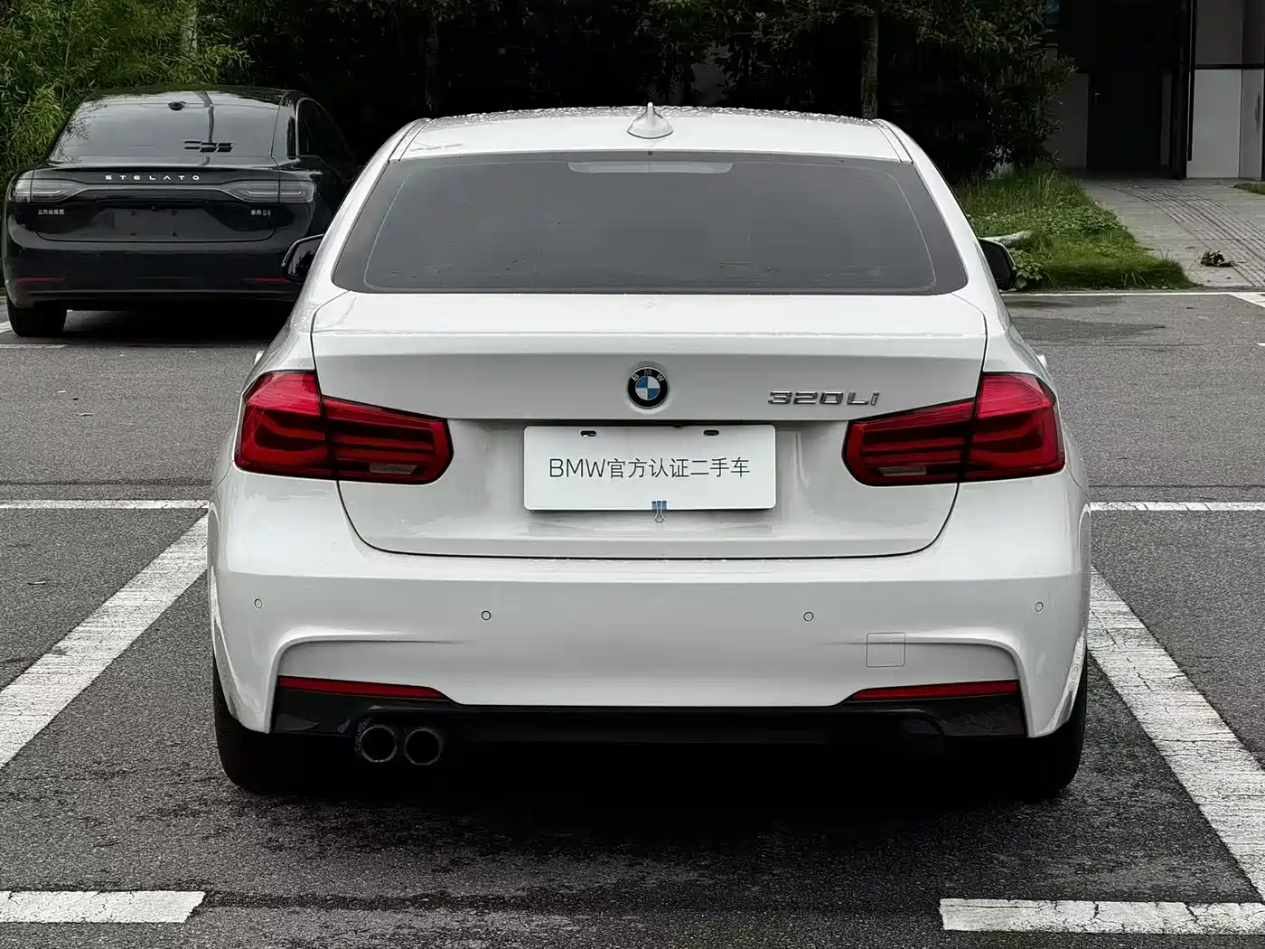 BMW 3 Series 2017 320Li M Sport фото 8