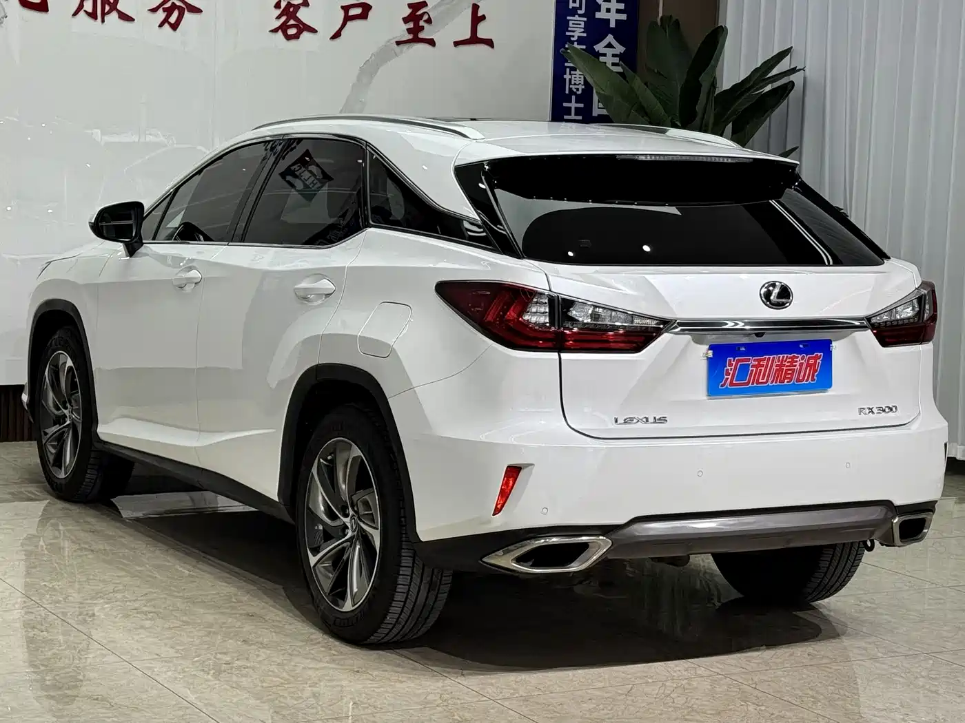 Lexus RX 2016 300 4WD Elegance Edition China VI фото 21