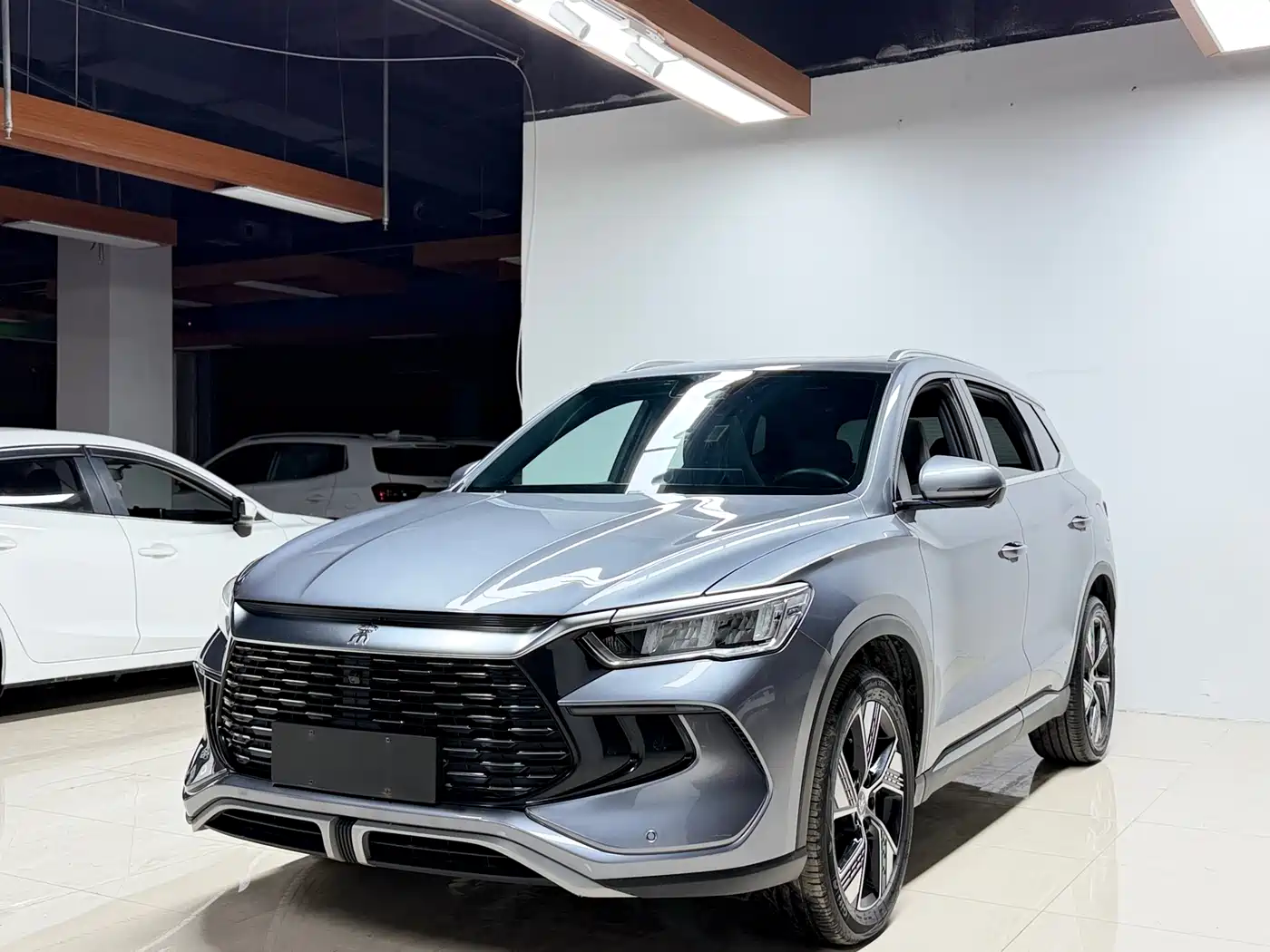 BYD Song Pro New Energy 2023 Champion Edition DM-i 110KM Excellence