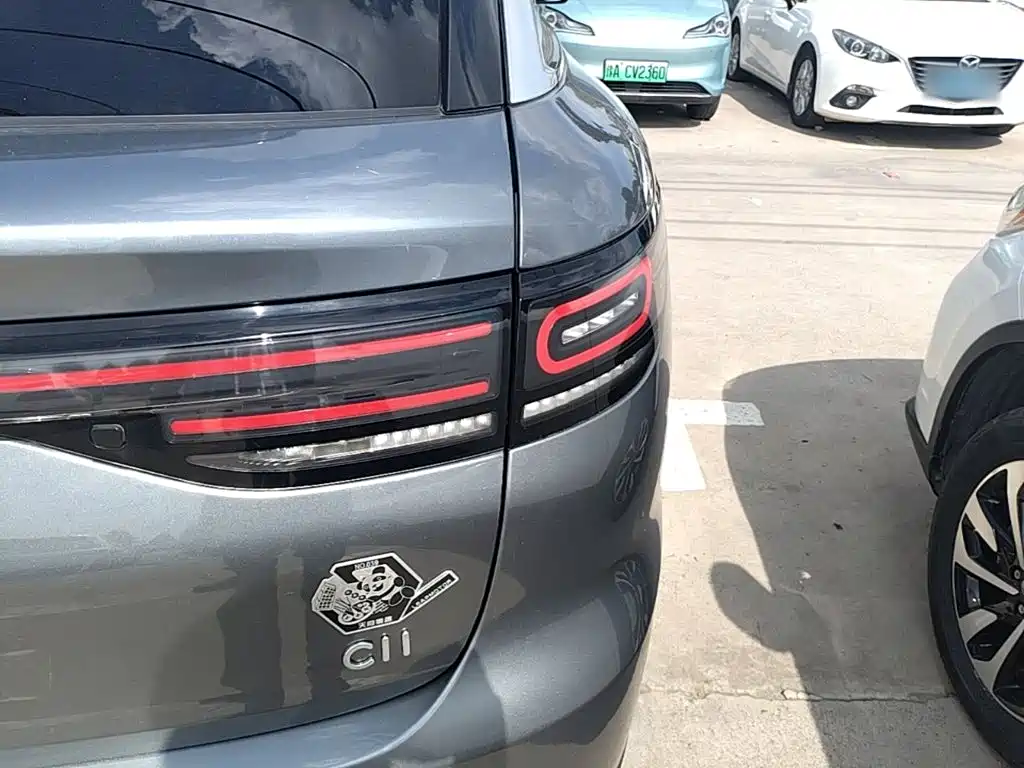 Leapmotor C11 2021 2021 Luxury Edition