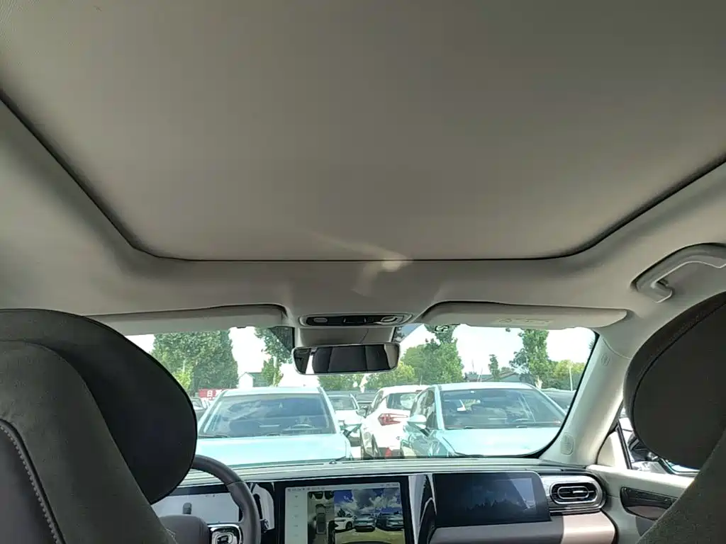 Leapmotor C11 2021 2021 Luxury Edition