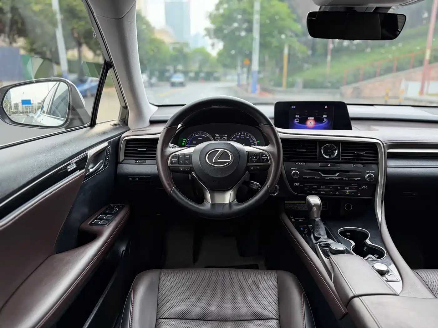 LEXUS RX