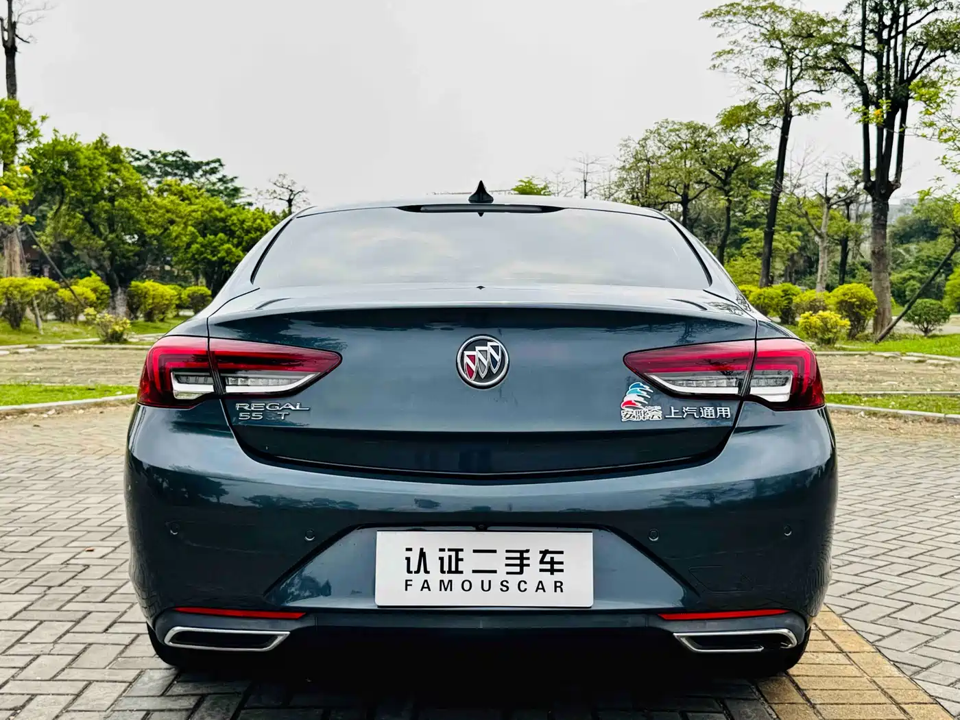 Buick Regal 2020 552T Elite фото 25