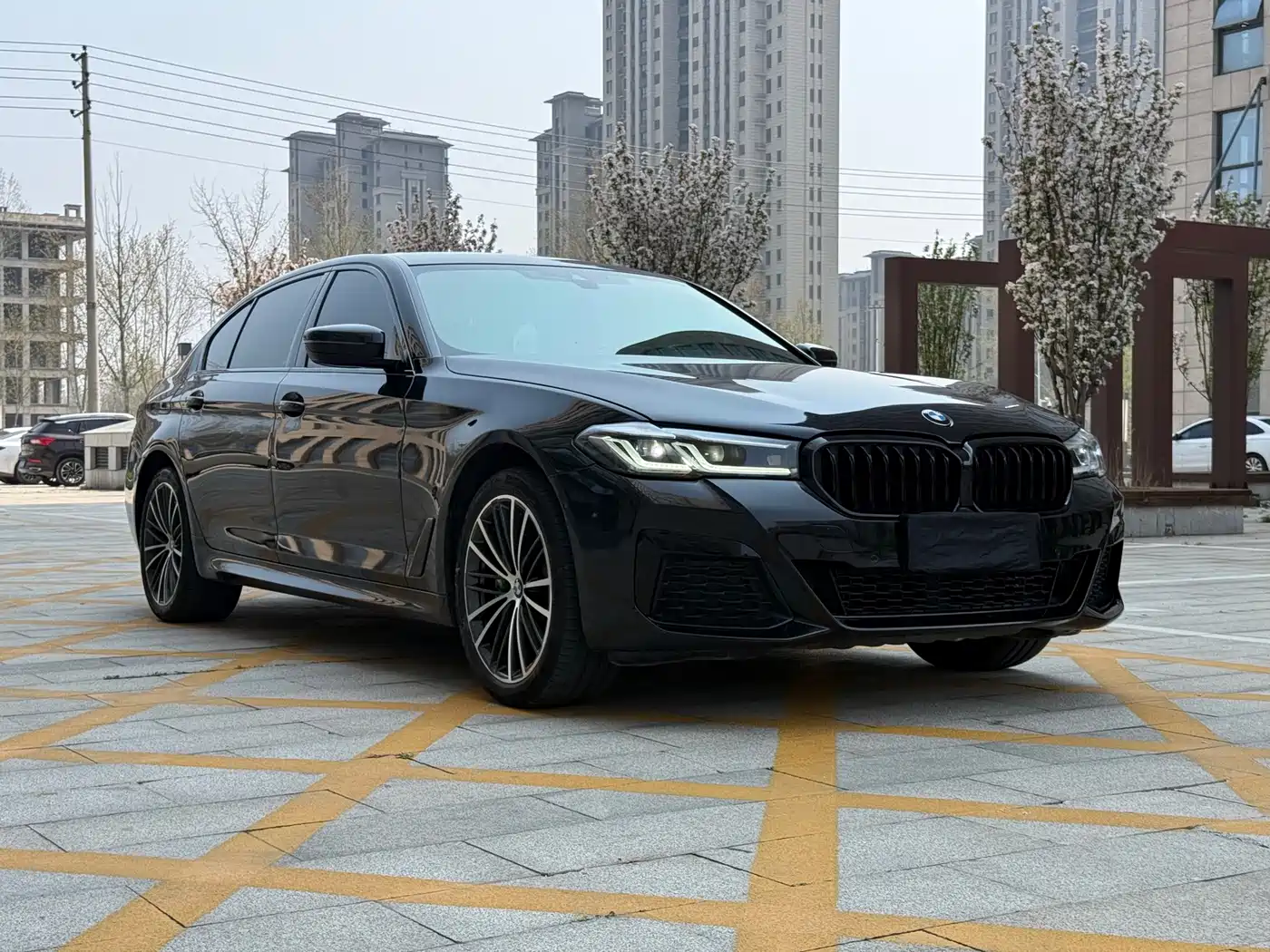 BMW 5 Series 2021 530Li Leading M Sport Package