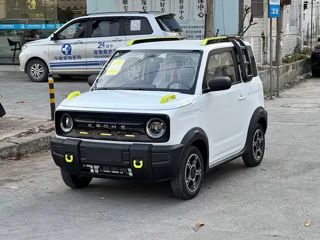 GEELY GALAXY PANDA
