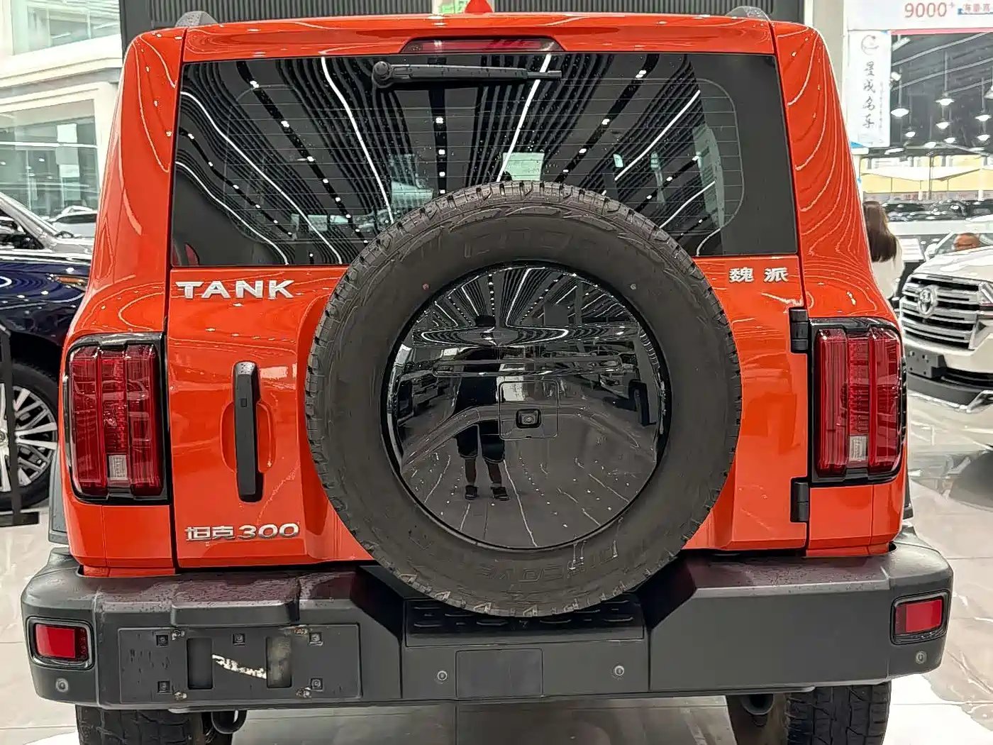 Tank 300 2021 Off-road Version 2.0T Conqueror фото 8