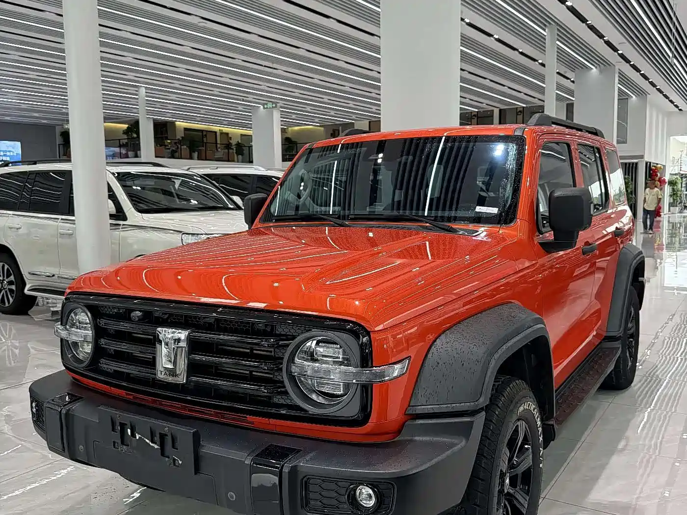Tank 300 2021 Off-road Version 2.0T Conqueror
