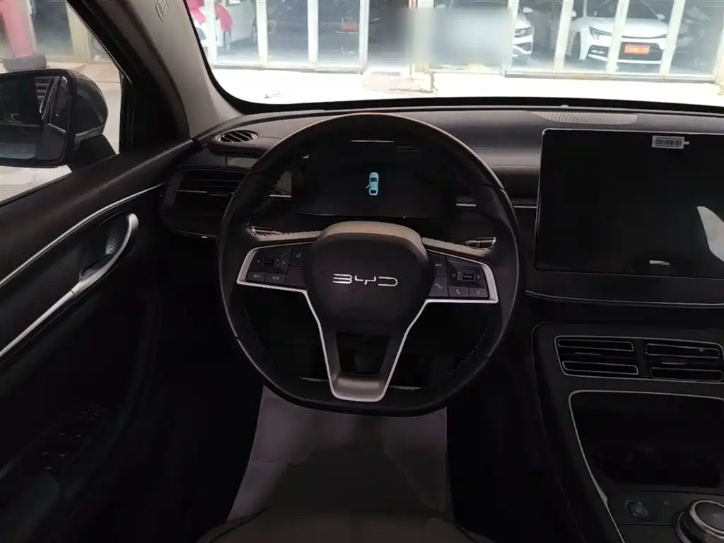 BYD Destroyer 05 2024 Glory Edition DM-i 55KM Luxury фото 11