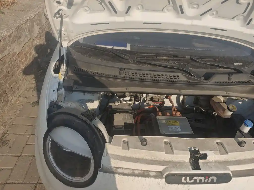 Changan Lumin 2024 2023 Model 301km Honey Edition