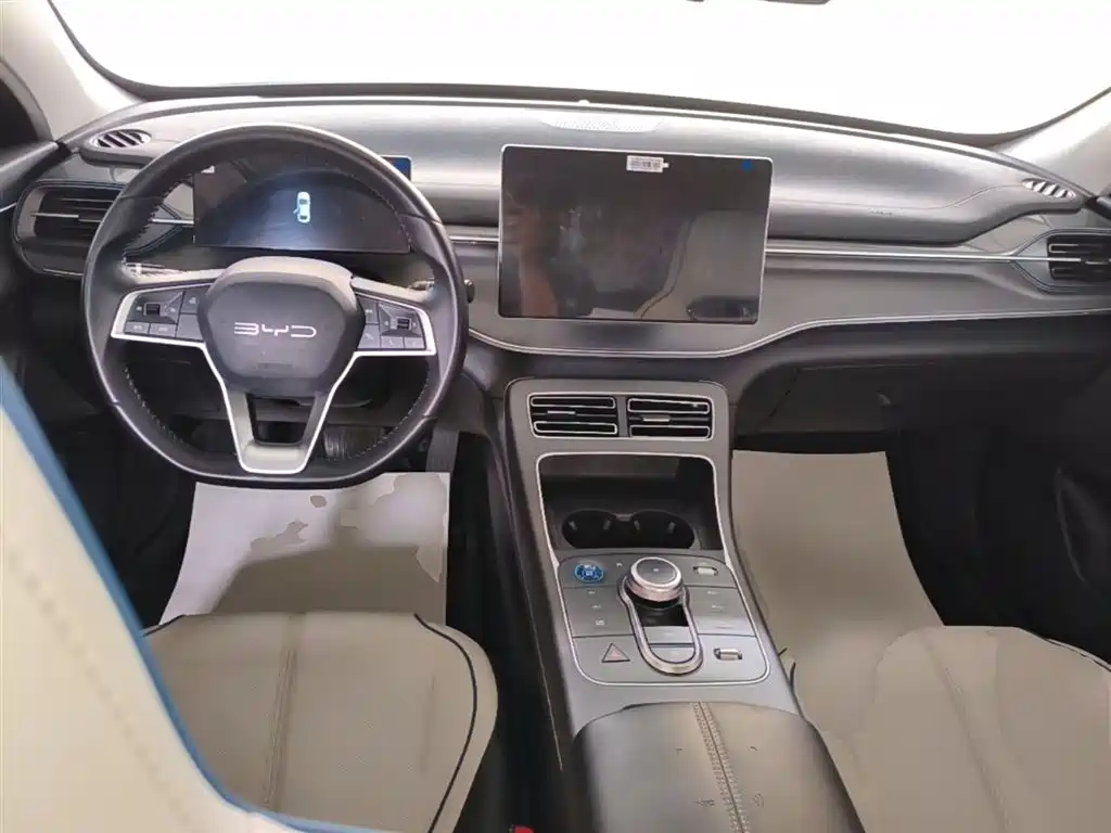 BYD Destroyer 05 2024 Glory Edition DM-i 55KM Luxury фото 10