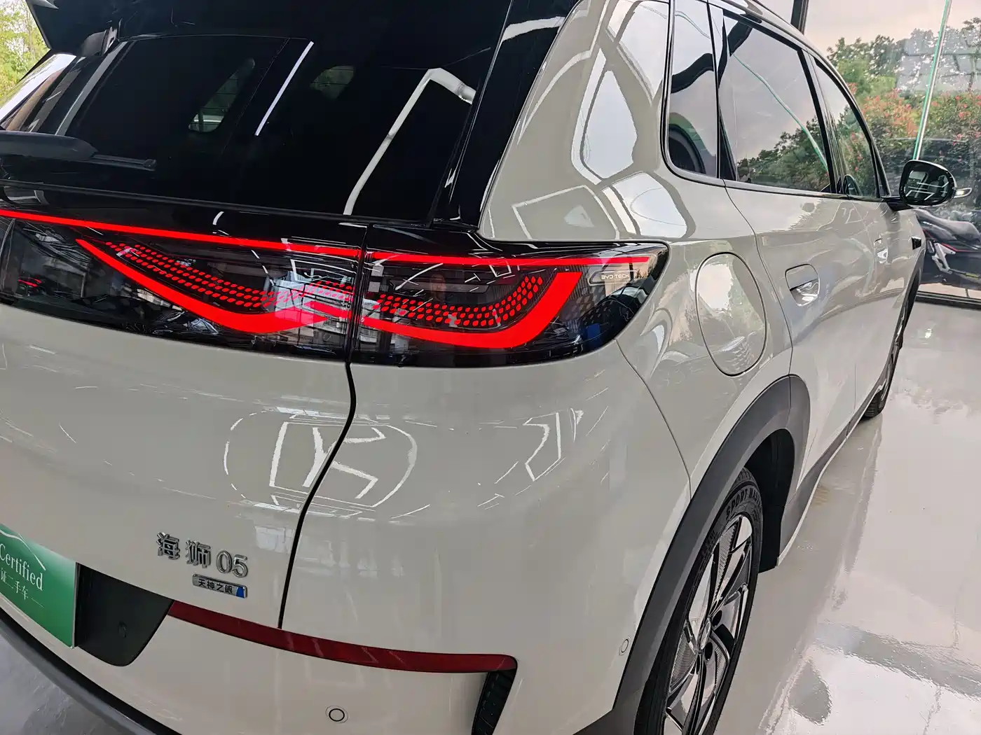 BYD Hai Shi 05 EV 2025 520KM Flagship Smart Navigation Edition фото 19