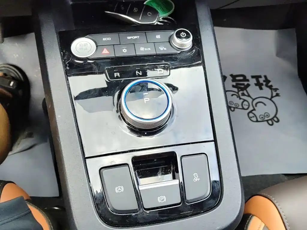 BYD e2 2022 2021 Luxury Edition