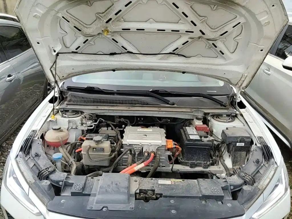 BYD e2 2022 2021 Luxury Edition
