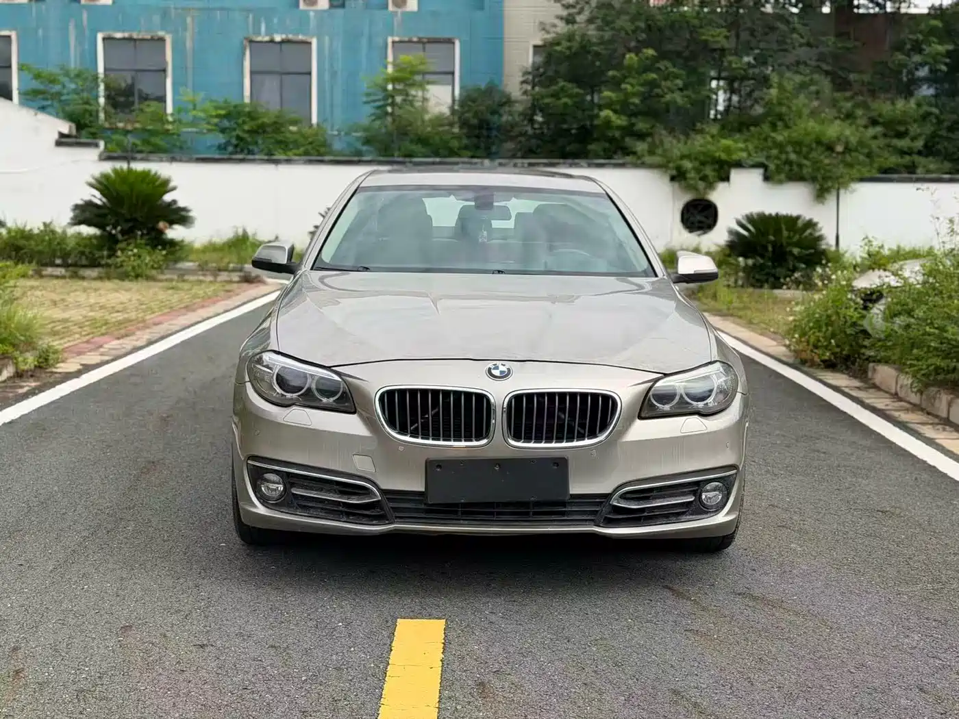BMW 5 Series 2017 525Li Leading Edition фото 2