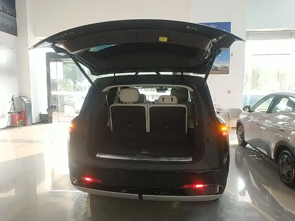 Denza N9 2025 2025 Flagship Model