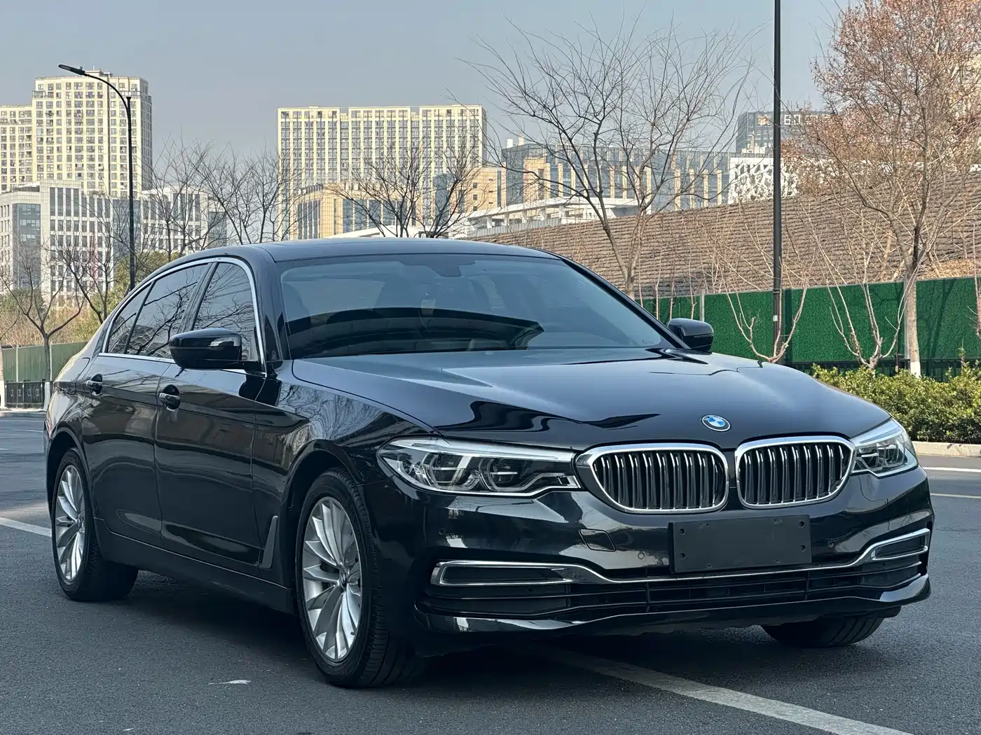 BMW 5 Series 2020 530Li Leading Luxury Package фото 3