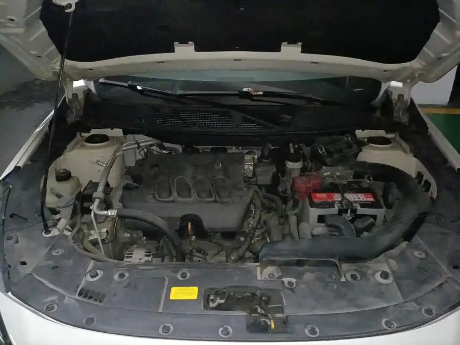 Venucia T90 2017 2017 2.0L CVT Smart Edition