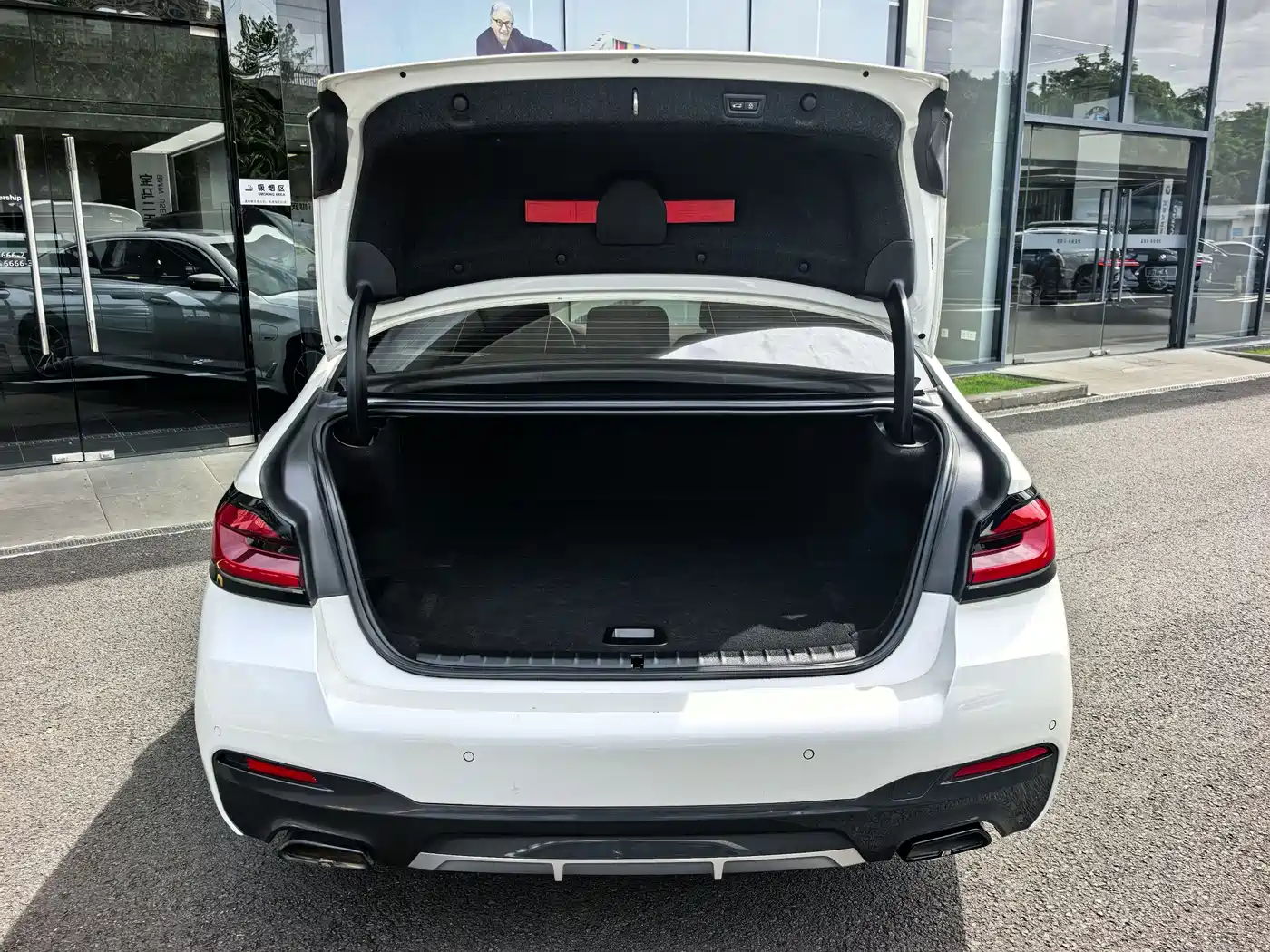 BMW 5 Series New Energy 2021 535Le M Sport Package фото 13