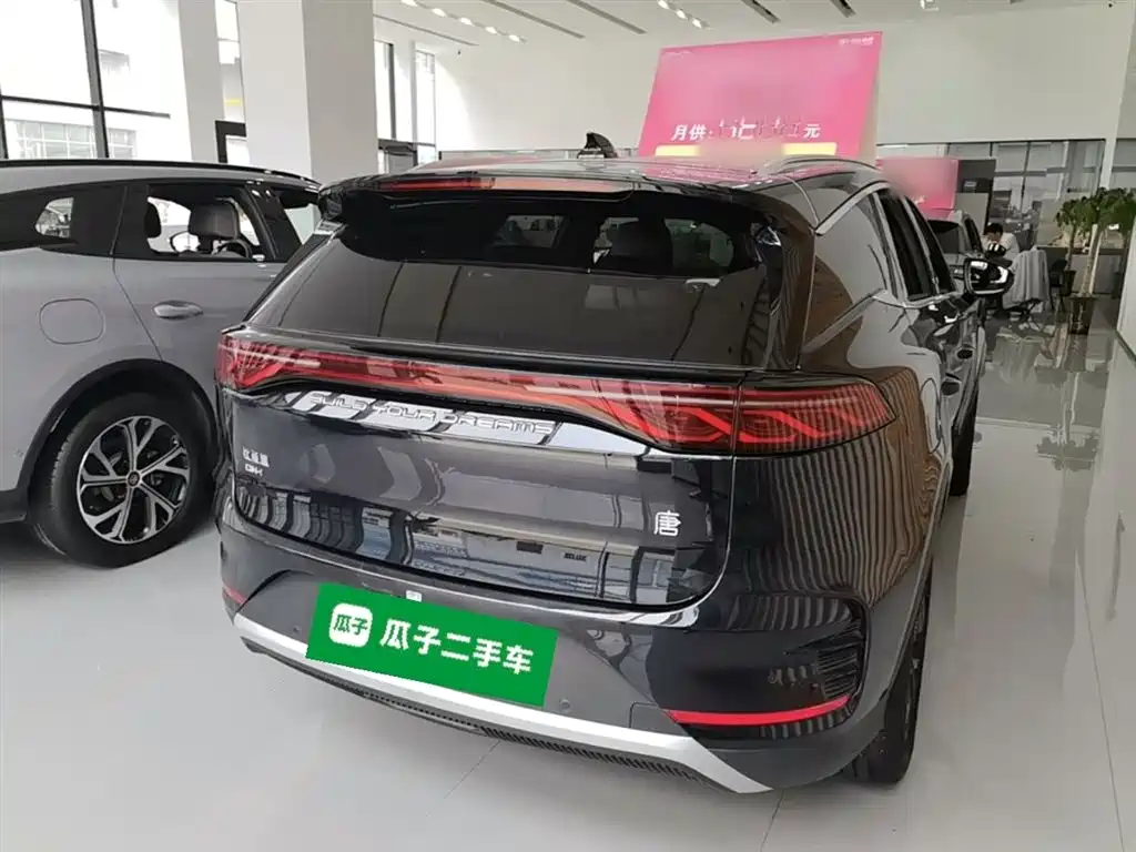 BYD Tang New Energy 2024 Model DM-i Glory Edition 112KM Flagship Type фото 7