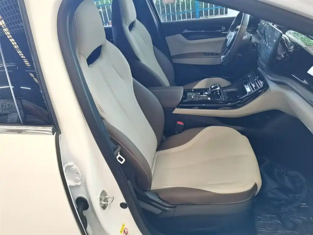 BYD Qin PLUS 2024 Glory Edition DM-i 55KM Leading фото 25