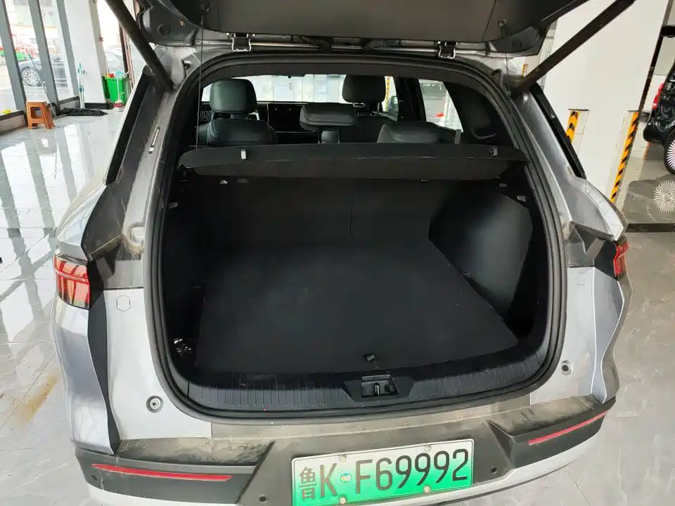 BYD SONGJIANG NEW ENERGY