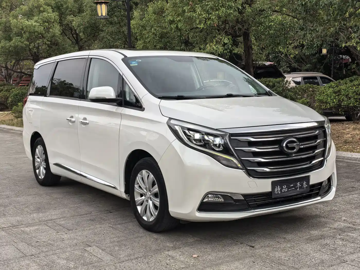 GAC Trumpchi Trumpchi M8 2020 390T Premium фото 3