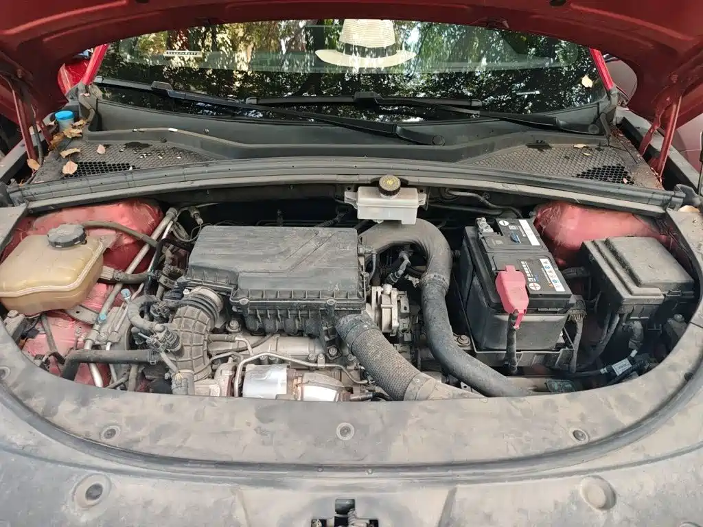 BYD Song PLUS 2021 2020 1.5T Automatic Flagship