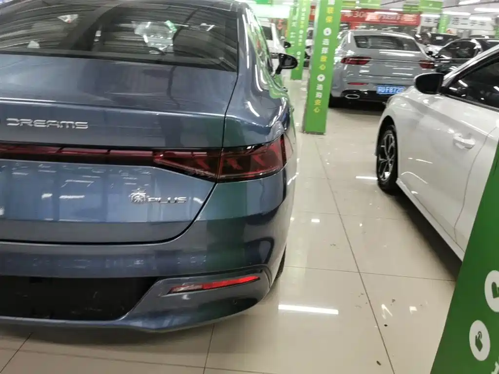 BYD Qin PLUS 2024 Glory Edition DM-i 55KM Leading фото 8