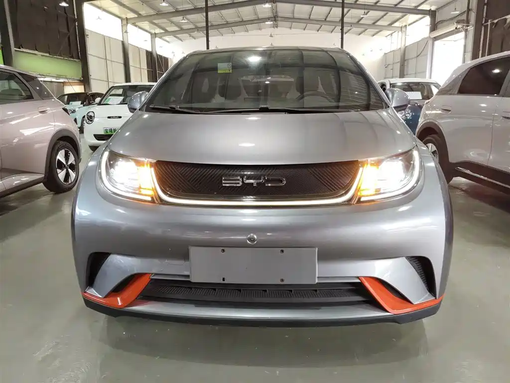 BYD Dolphin 2021 Model 405km Fashion Edition фото 3