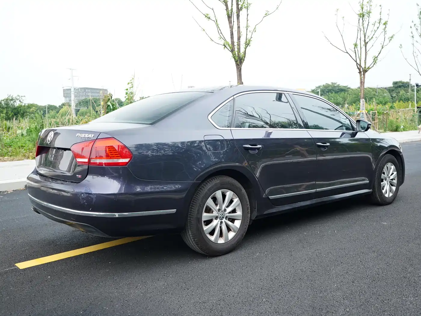 Volkswagen Passat 2014 1.8TSI DSG Luxury Edition фото 5
