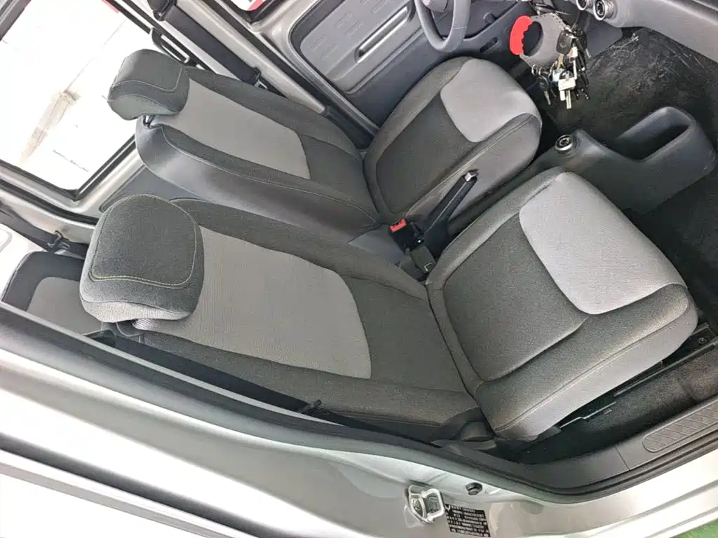 Wuling Motors Wuling Zhiguang NEV 2026 2025 Model 305km Base Version