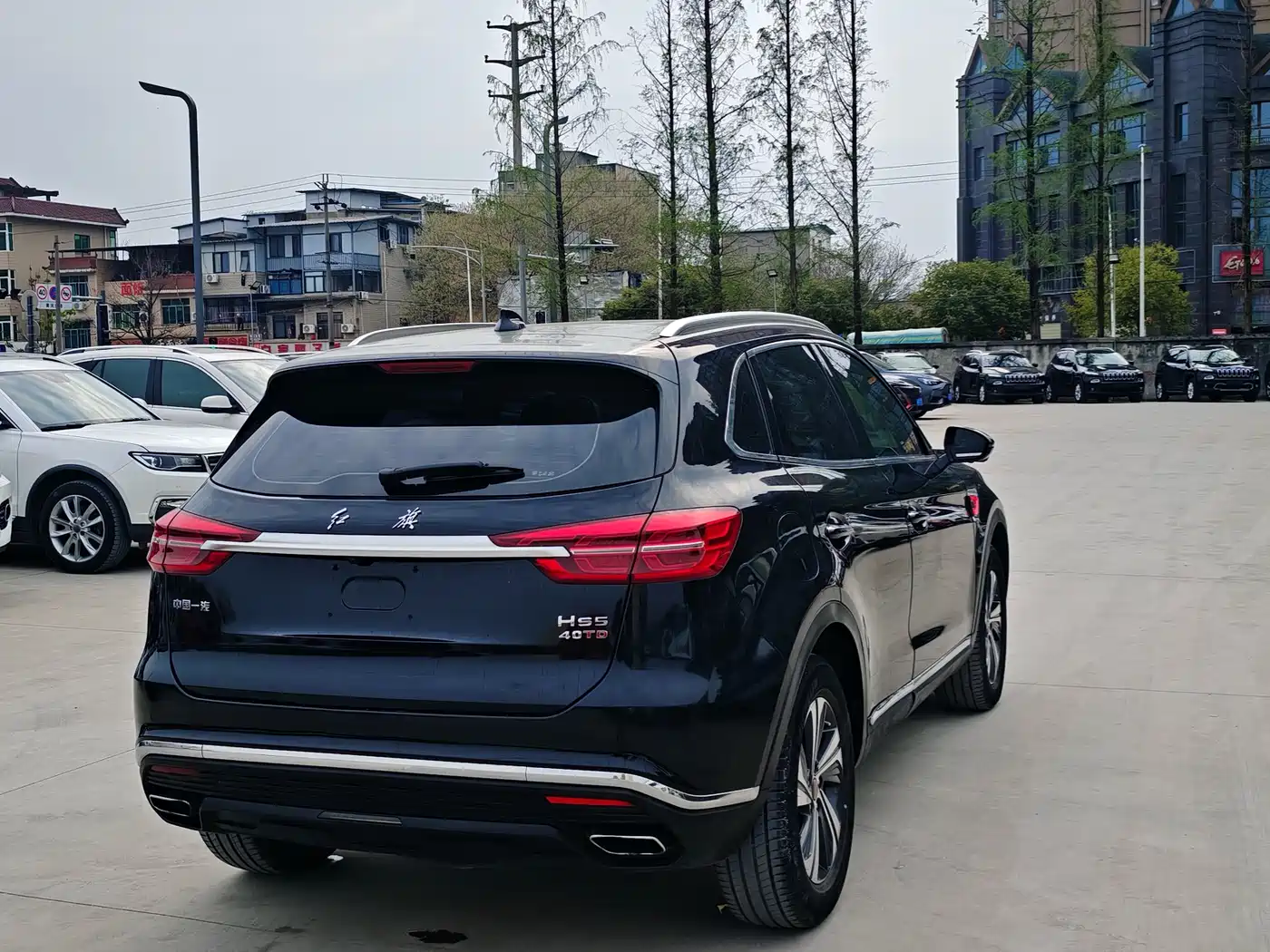 Hongqi HS5 2019 2.0T Smart Connect Enjoy Edition фото 12