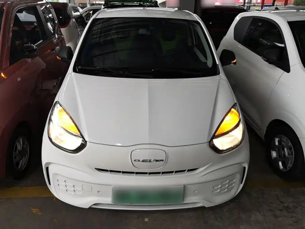 Roewe Kaiwei CLEVER 2020 2021 302km All-round Edition