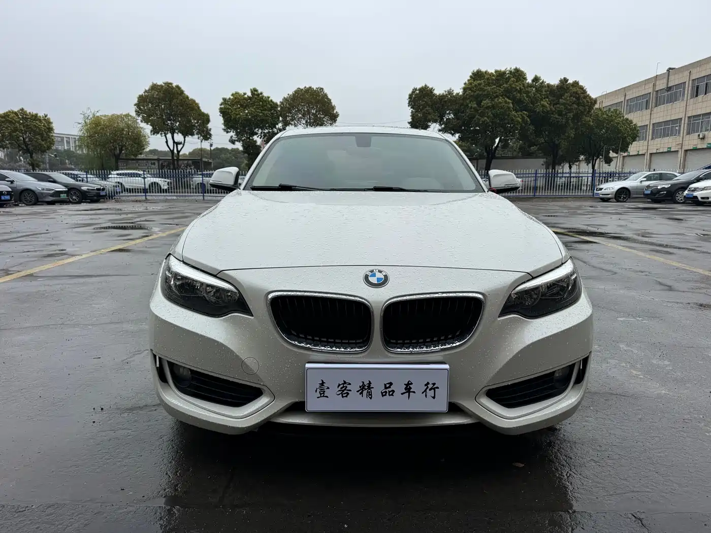 BMW 2 Series (Import) 2015 218i фото 2