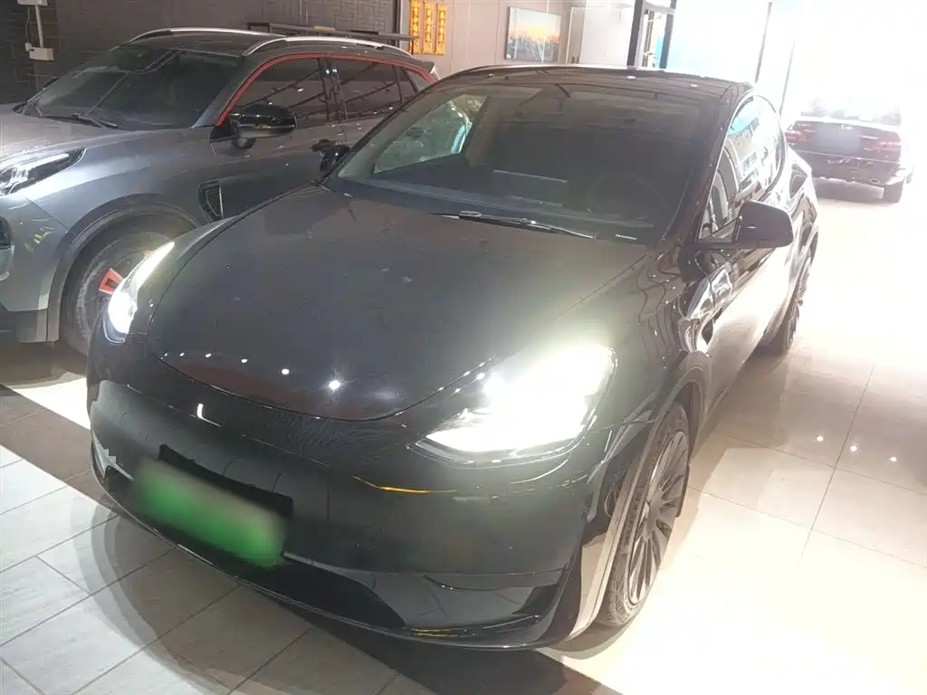 Tesla Model Y 2022 Rear-Wheel Drive Version