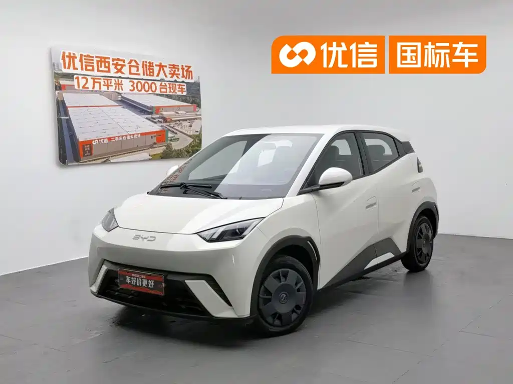 BYD Seagull